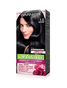 Tinte Garnier Negro Intenso 1.0 